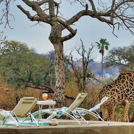 Hotel Ngalali Retreat Grietjie Game Reserve Exterior foto