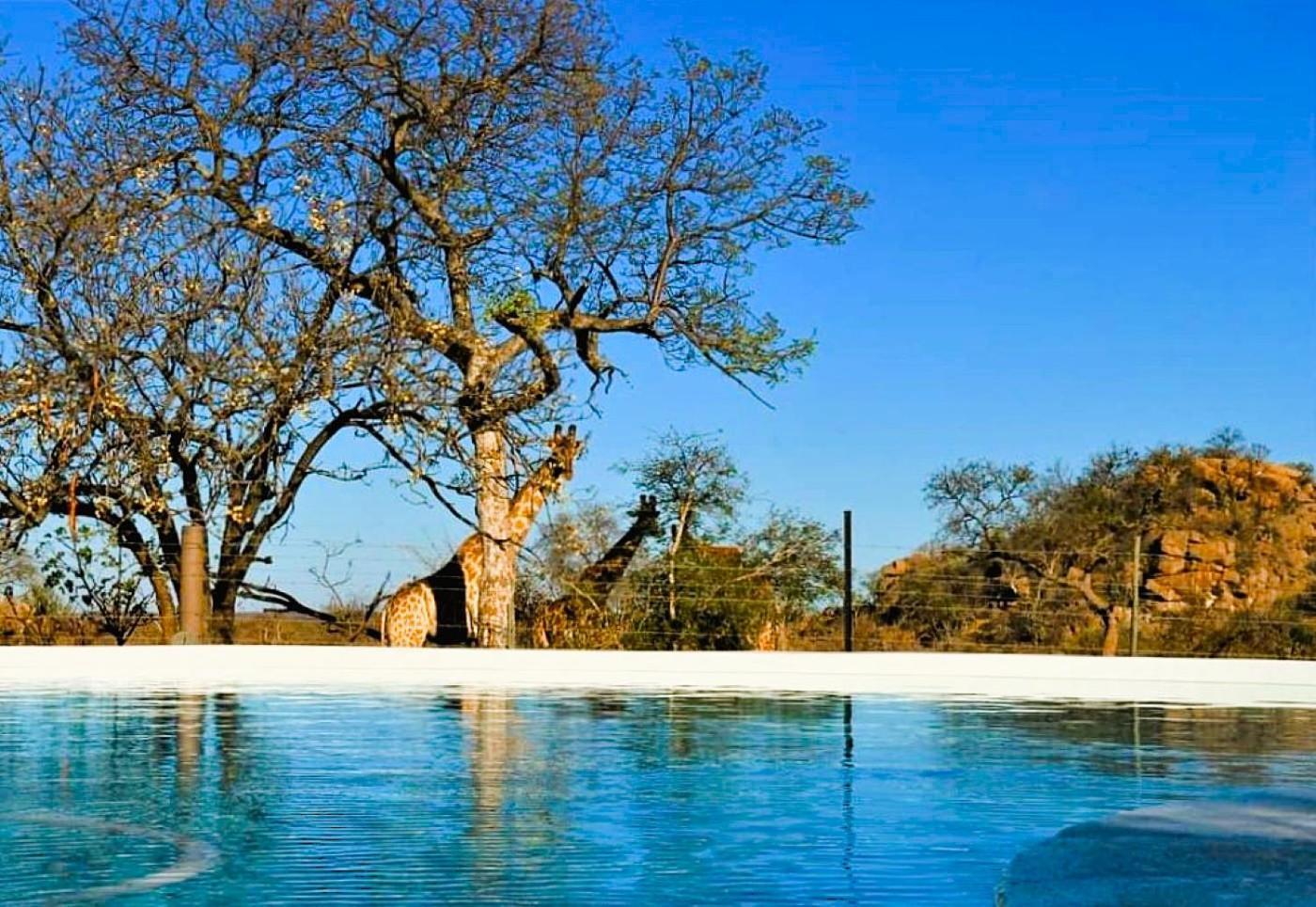 Hotel Ngalali Retreat Grietjie Game Reserve Exterior foto