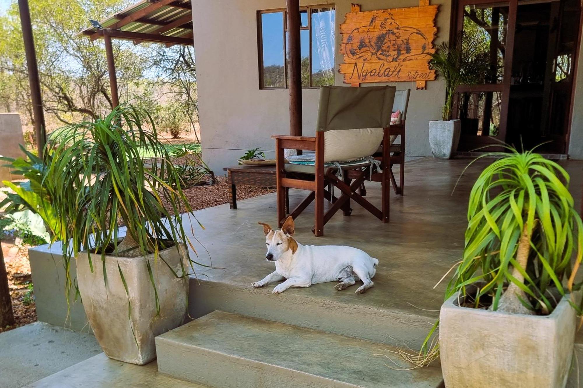Hotel Ngalali Retreat Grietjie Game Reserve Exterior foto