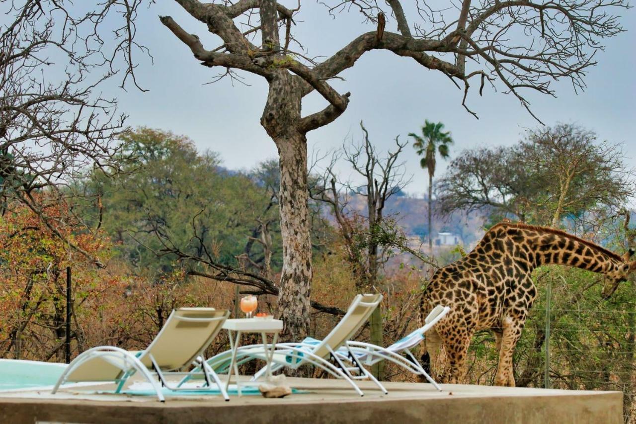 Hotel Ngalali Retreat Grietjie Game Reserve Exterior foto